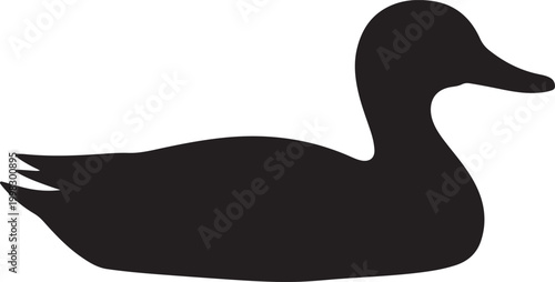 Black duck silhouette