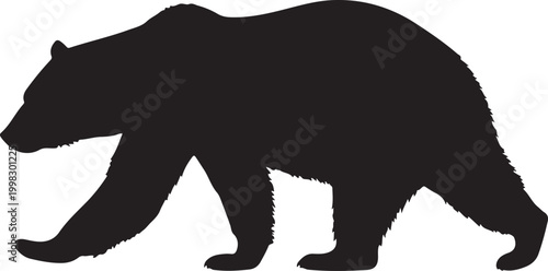 Black bear walking silhouette