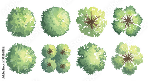 Watercolor architectural tree symbols, top view landscape plan elements, set of 8 green plant icons for site mapping and garden design layout