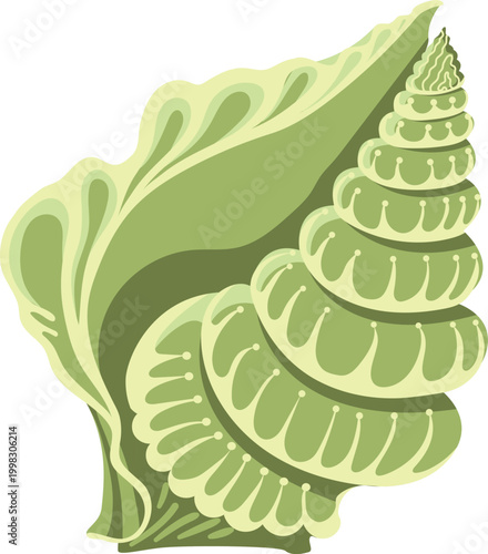 Green conch seashell with decorative dots and swirl ornate marine shell isolated