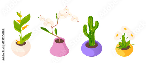 Potted plants with blossoms and flowers. Vector isometric decorative greenery and cactus varieties. Botanical flowering stages and plant diversity. Bloom and growth, nature cycle and gardening