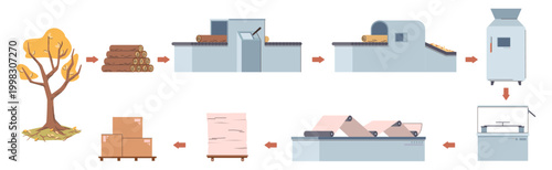 Paper factory industry, producing of cellulose and processing wooden materials. Vector in flat style, isolated machinery and steps for creating product for sale. Ecological manufacturing