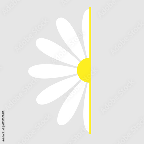 Daisy flowers icon vector. Daisy Illustration sign. Chamomile symbol. flowers logo.