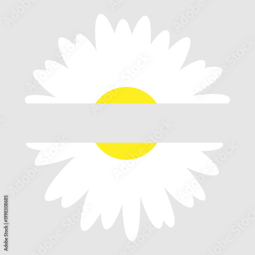 Daisy flowers icon vector. Daisy Illustration sign. Chamomile symbol. flowers logo.