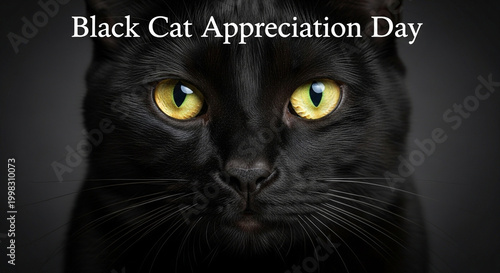 Black cat face, yellow eyes, feline appreciation, pet celebration