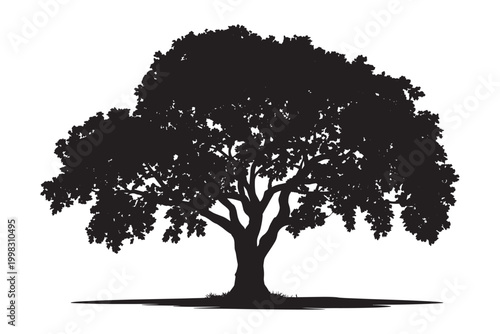 A lush silhouette of a wide leafy oak tree with a strong trunk representing nature conservation and environmental life