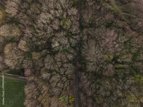Aerial view of concealed pathway in woodlands, Wales