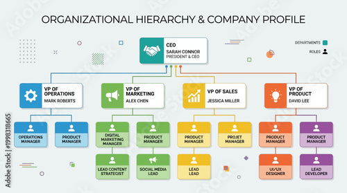 Organizational hierarchy and company profile structure.