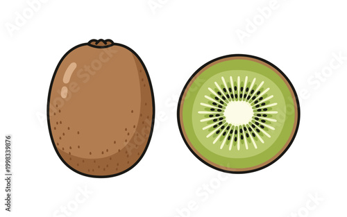 Isolated flat cartoon kiwi fruit, whole and cut, illustrated in vector style on a white background.

