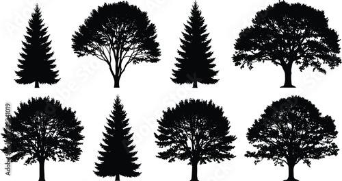 Vector silhouette collection of various deciduous and coniferous trees featuring oak maple and pine isolated on white background for landscape