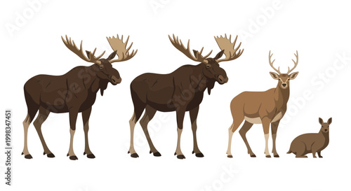 Three Moose and Deer Illustration