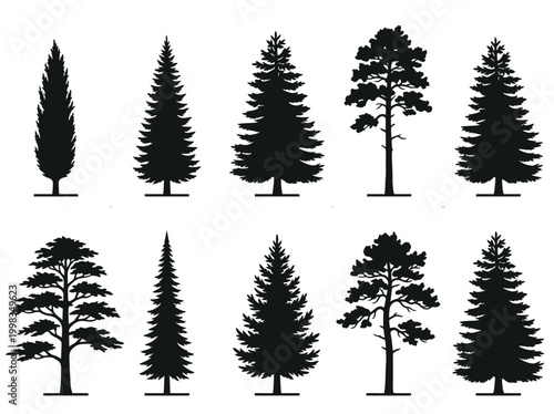 Set of 10 Pine and Evergreen Tree Silhouettes, Coniferous Forest Tree Icons Isolated on White Background