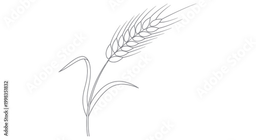 Single wheat stalk with leaves, minimalist line drawing, isolated on white background.