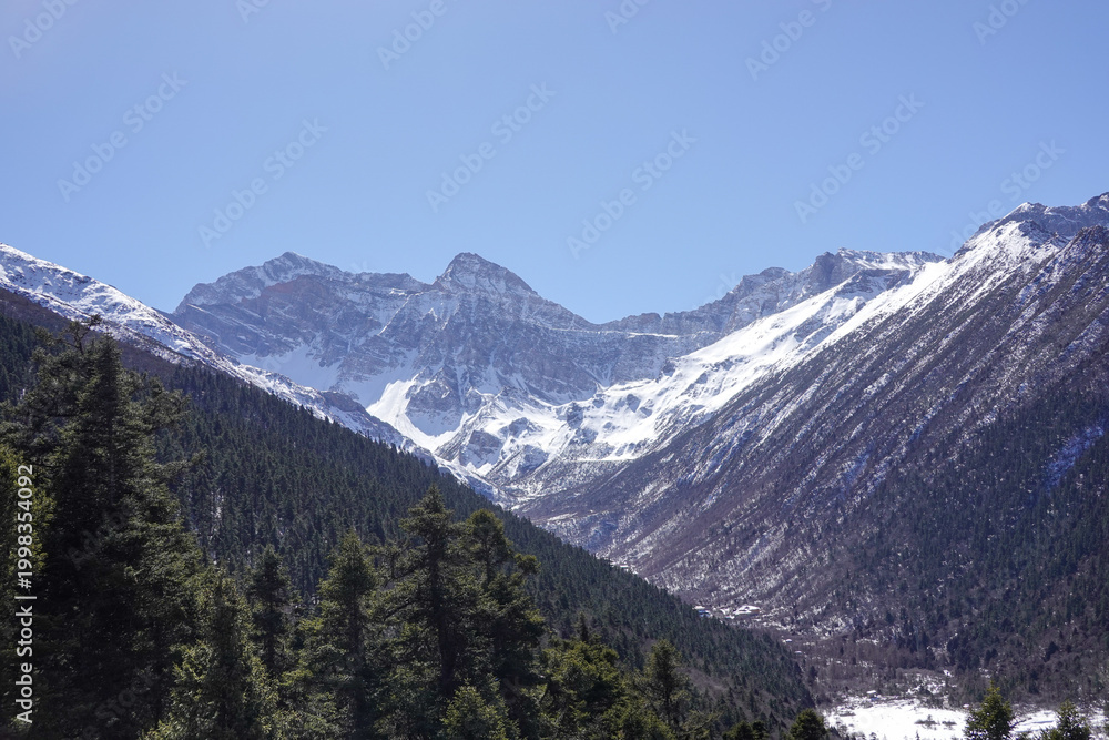 Fototapeta premium Snowy Mountain Panorama With Forest Foreground