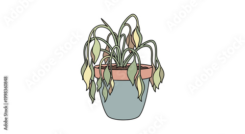 Wilted plant in a pot indoors.