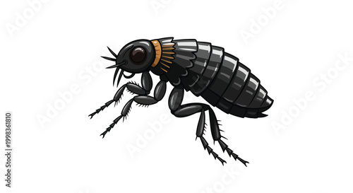 Detailed Flea Insect Vector Illustration Isolated on White Background for Pest Control and Biological Studies