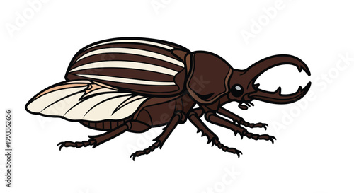 Detailed Vector Illustration of a Brown Striped Stag Beetle with Large Mandibles Isolated on White Background