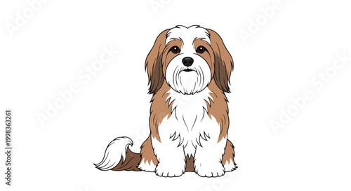 Cute Small Fluffy Dog Sitting Front View Vector Illustration - Brown and White Puppy Portrait