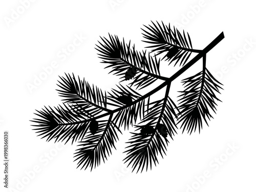 Black Silhouette of Pine Branch with Cones Isolated on White Background - Evergreen Fir Spruce Tree Botanical Vector Illustration Element for Winter Nature Design