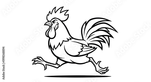 Rooster in motion running fast.
