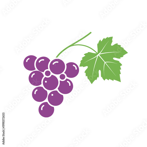 Purple Grapes with Green Leaf Stem.
