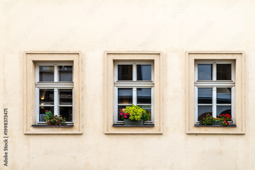 Fototapeta premium Elegant Windows