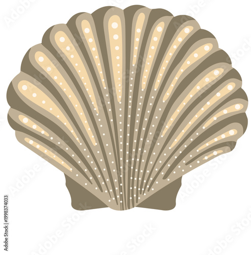 Beige scallop seashell with decorative dots and ribbed texture marine shell isolated