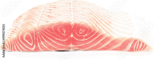 Illustration t-shirt retro art and screen print salmon for fish grunge halftone vintage