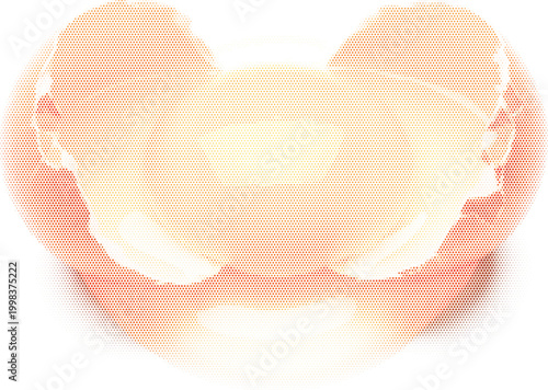 Graphic yolk egg engraving and retro design for halftone label classic vintage