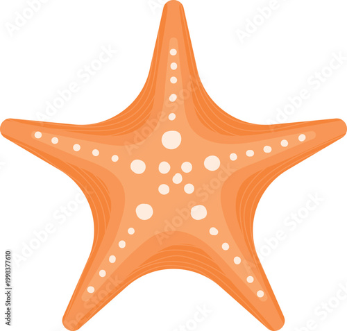 Orange starfish with white decorative dots and textured rays sea star isolated