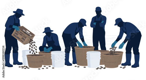 Farmers working in field harvesting fresh oysters placed in large woven baskets and plastic buckets. Flat vector design showing agricultural laborers gathering seafood products outdoors scene.