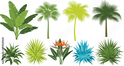 Collection of tropical plants and palm trees in various colors and styles on white background