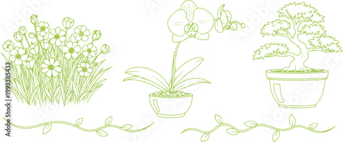 Beautiful line art illustrations of potted plants flowers and bonsai trees for nature inspired designs and botanical themes