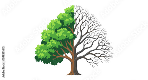 Split Tree: Half Lush Green, Half Bare Branches, Contrasting Seasons, Life Cycle