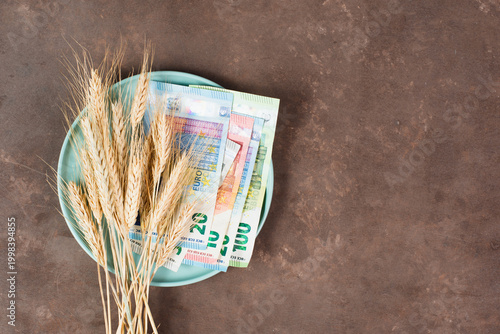 Plate with money and grain, expensive increased living costs, inflation, recession crisis and high prices, paying for food, poverty and shortage