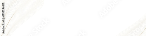 Elegant feather texture with soft gradient lines isolated on transparent background perfect for creative design projects