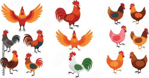 Rooster and chicken collection with different poses and colors, farm poultry birds set, colorful cartoon vector illustration isolated on white background