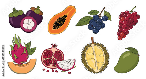 Large selection of tropical and exotic fruits including mangosteen, papaya, blueberries, grapes, dragonfruit, pomegranate, and durian.