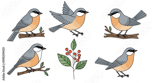 Beautiful collection of small birds perched on branches and a sprig of red berries illustrated in a clean vector style.