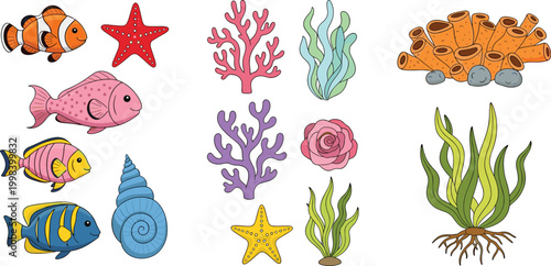 Underwater elements collection with tropical fish, coral, seaweed, starfish and shells, colorful marine life set, cartoon vector illustration isolated on white background