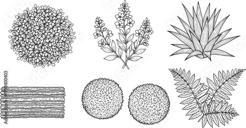 Hand drawn botanical elements set including flowers leaves shrubs and decorative foliage sketches isolated vintage style vector illustration collection detailed