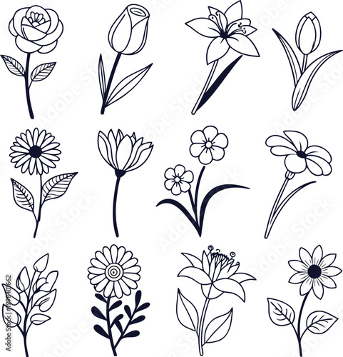 Seamless vector set of floral elements and nature silhouettes featuring a vintage spring blossom pattern for a decorative seamless summer wallpaper design