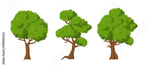 Set of green leafy trees, vector illustration