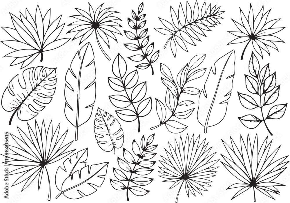 Fototapeta premium Black and white tropical leaf collection outline tropical leaves
