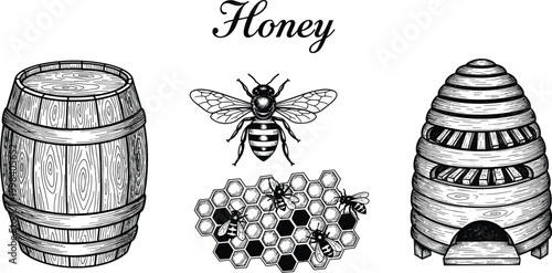 Hand drawn honey production set with bee hive honeycomb barrel and vintage engraving style beekeeping illustration collection