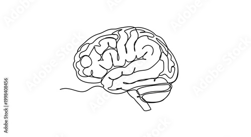 Minimalist continuous line drawing of human brain anatomy.