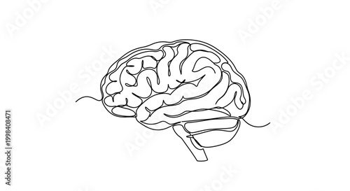 Minimalist continuous line drawing of human brain illustration.