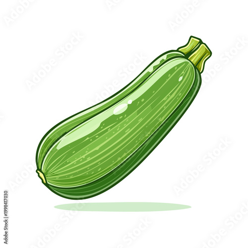 Fresh Green Zucchini Vegetable Isolated on White Background Healthy Food Ingredient