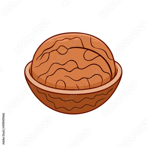 Illustration of a half walnut in its shell with a white background