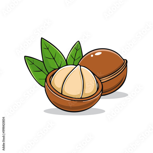 Macadamia Nuts with Green Leaves and Shells